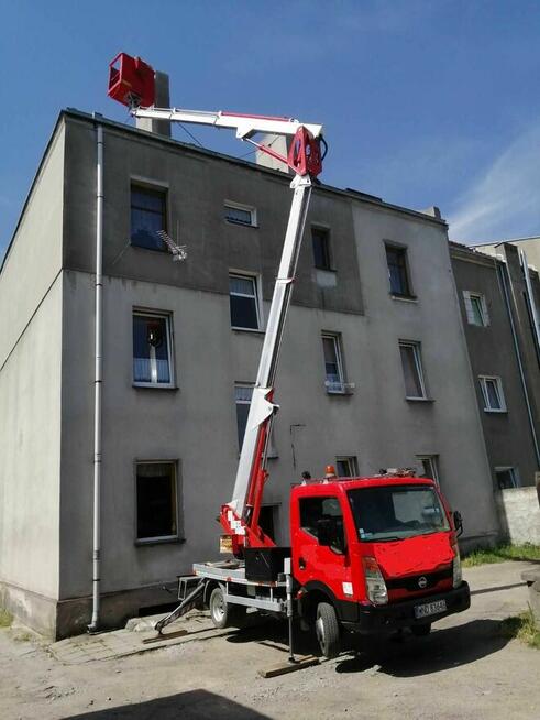 Podnośnik koszowy, nożycowy, Gniezno, Mogilno, wycinka