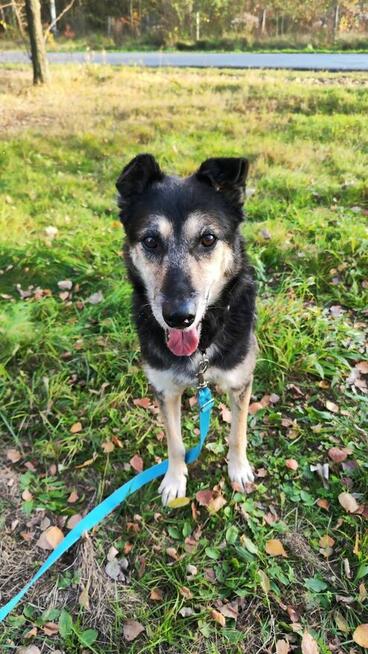 Czy do Bosmana w końcu uśmiechnie się los?