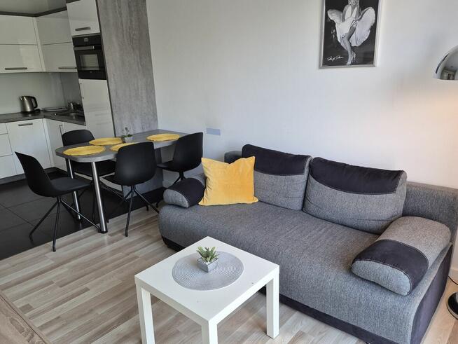 Sprzątanie apartamentów , mieszkań , domów i biur
