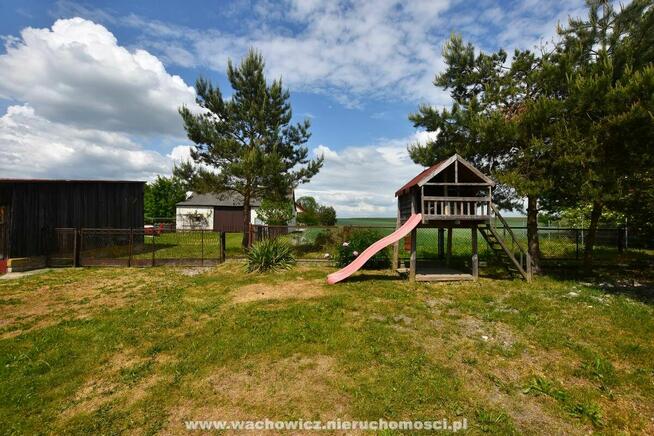 Siedlisko w Wierzbicy w gminie Kozłów