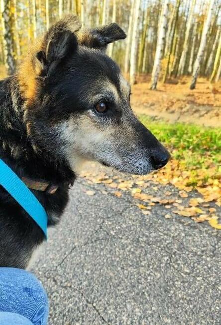 Czy do Bosmana w końcu uśmiechnie się los?