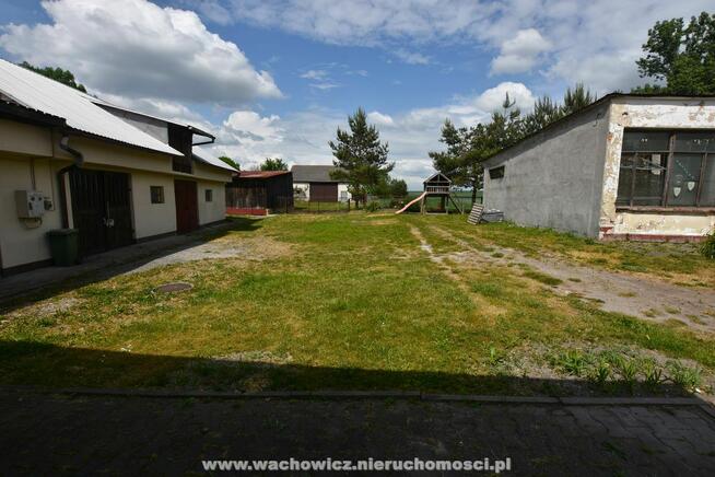 Siedlisko w Wierzbicy w gminie Kozłów