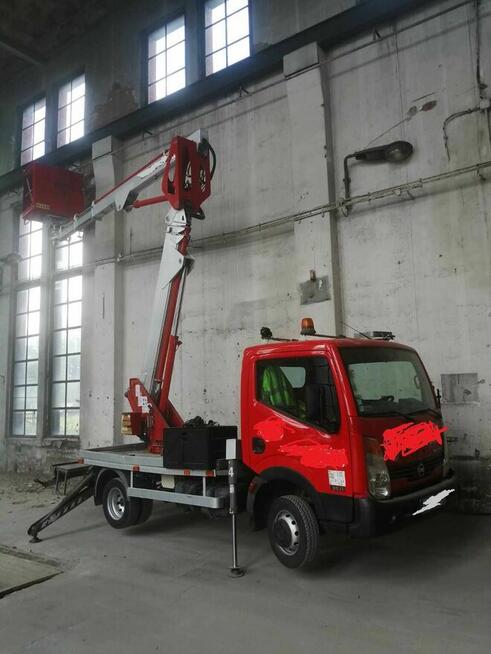 Podnośnik koszowy, nożycowy, Gniezno, Mogilno, wycinka