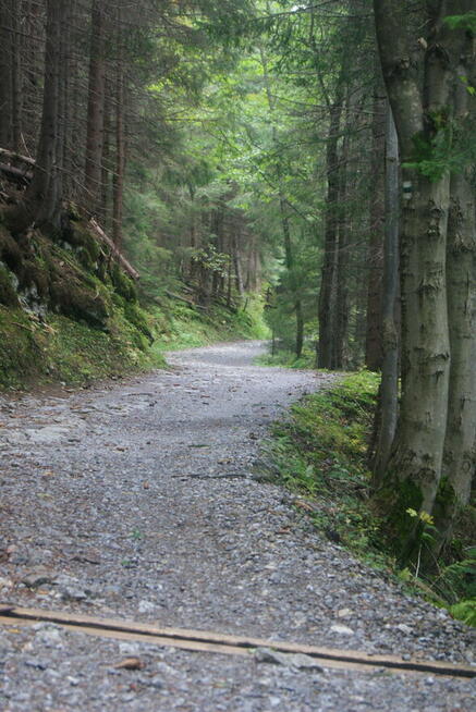 Kumpel poszukiwany