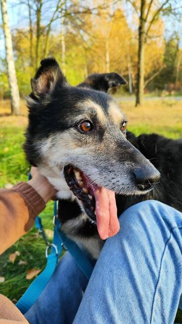 Czy do Bosmana w końcu uśmiechnie się los?