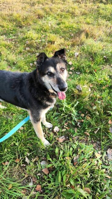 Czy do Bosmana w końcu uśmiechnie się los?