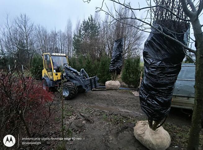 Zakładanie ogrodów kompleksowo. Minikoparka Ostrów Mazowiecka.