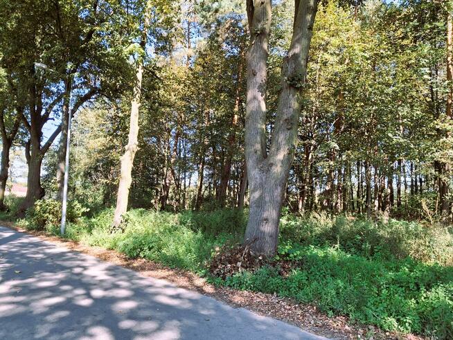 Dom wynajem wysoki standard