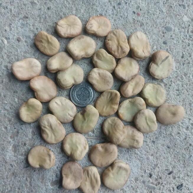 BÓB workowany oryginalne worki sprzedam nadmiar Z CENTRALI