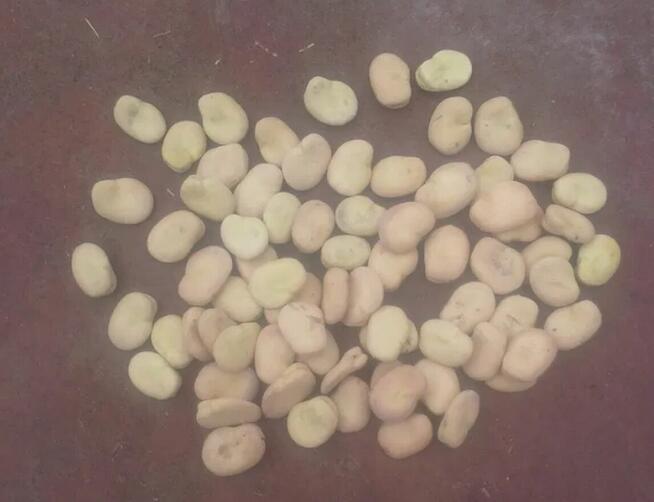 BÓB workowany oryginalne worki sprzedam nadmiar Z CENTRALI