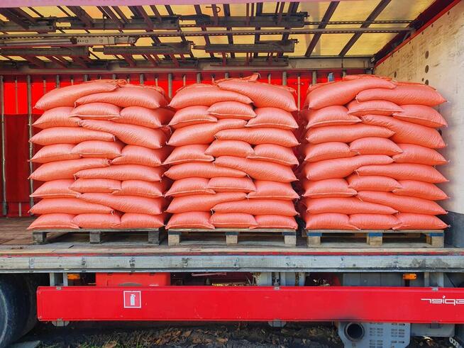 LUCERNA ziarno lucerny worki z lucerną wysyłam lucernę FedEx