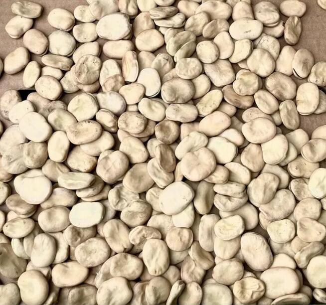 BÓB workowany oryginalne worki sprzedam nadmiar Z CENTRALI