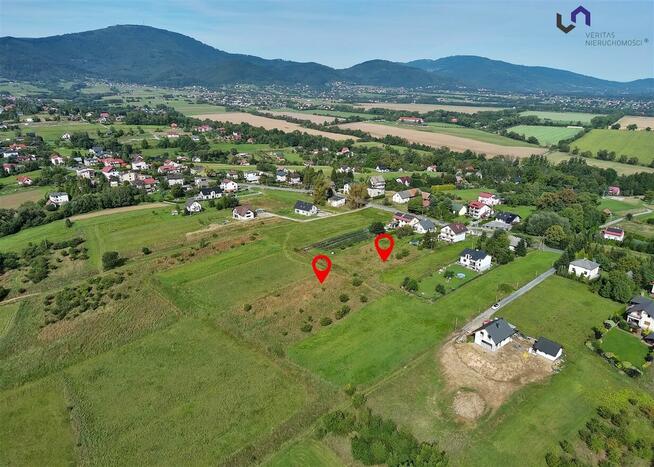 Działka Lipowa, Lipowska