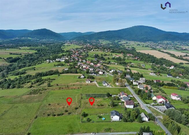 Działka Lipowa, Lipowska