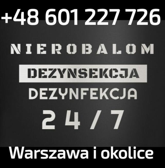 Dezynsekcja insektów Warszawa i okolice