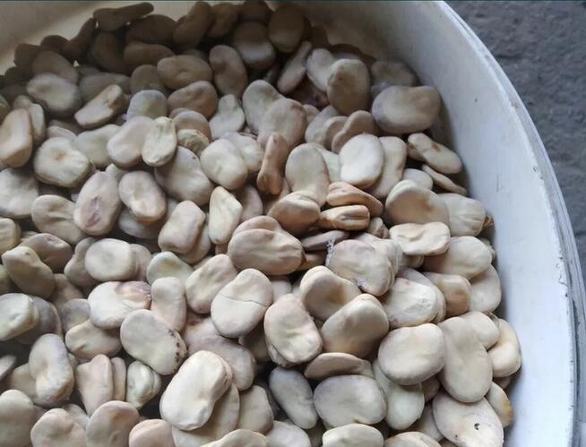 BÓB workowany oryginalne worki sprzedam nadmiar Z CENTRALI