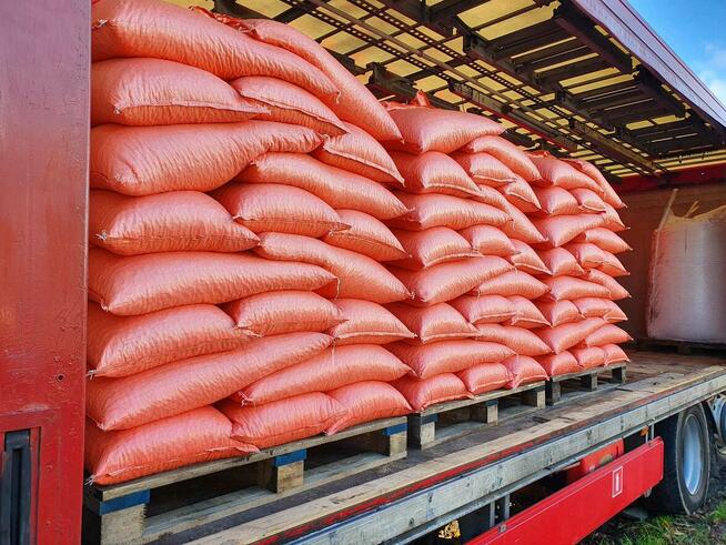 LUCERNA ziarno lucerny worki z lucerną wysyłam lucernę FedEx