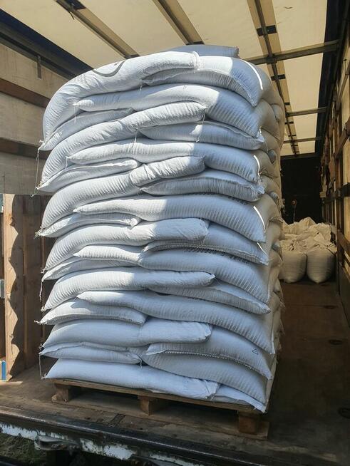 OWIES ziarno owsa worki z owsem nasiona z ostatnich żniw HIT