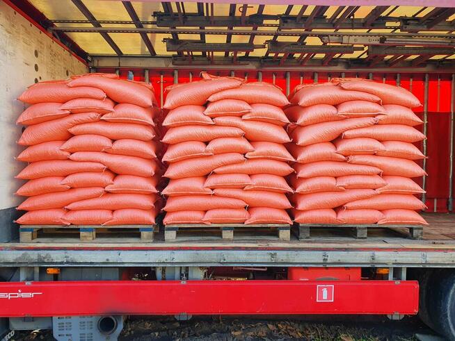 LUCERNA ziarno lucerny worki z lucerną wysyłam lucernę FedEx