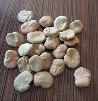 BÓB workowany oryginalne worki sprzedam nadmiar Z CENTRALI