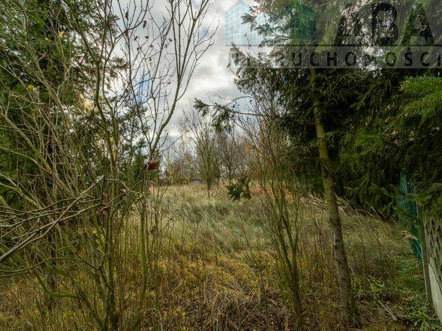 Działka budowlana - Brzezie, gm. Babiak