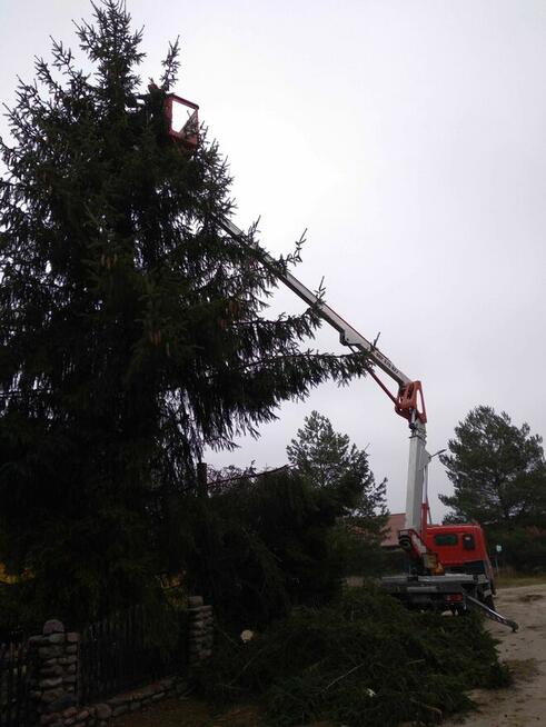 Wycinka, Przycinanie drzew Gniezno