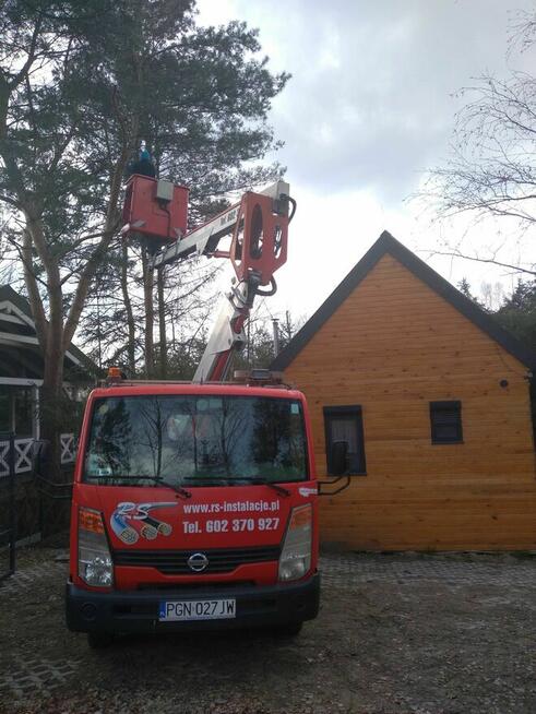 Wycinka, Przycinanie drzew Gniezno