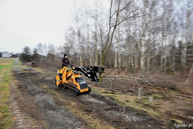 Alpinistyczna Wycinka Drzew w miejscach trudno dostępnych