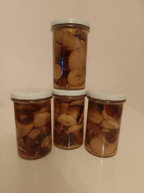 Grzyby leśne marynowane