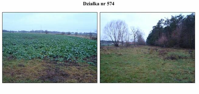 Syndyk sprzeda działki