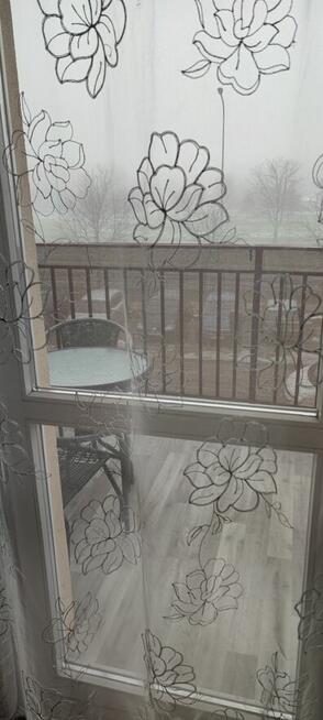 kawalerka do wynajęcia