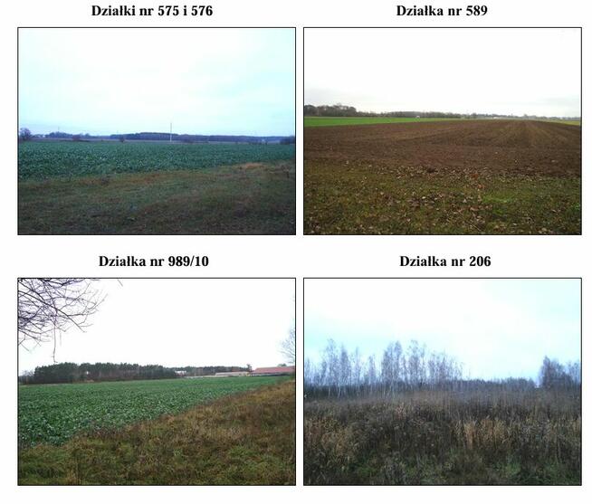 Syndyk sprzeda działki