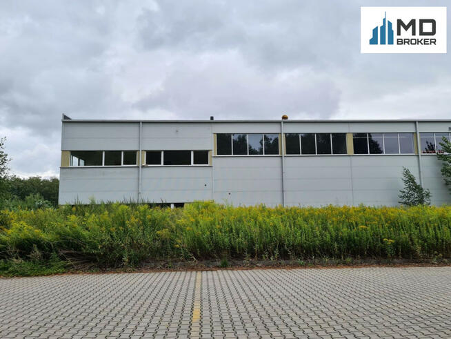 Lokal użytkowy Wiskitki,