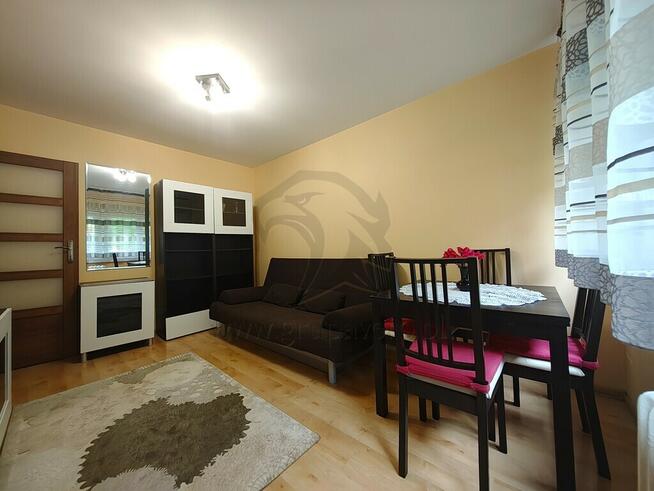 Małe? Tak Wygodne? Bardzo. Do kochania? Koniecznie