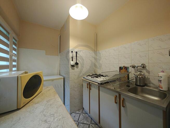 Małe? Tak Wygodne? Bardzo. Do kochania? Koniecznie