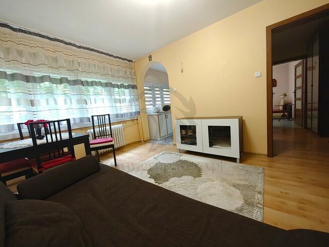 Małe? Tak Wygodne? Bardzo. Do kochania? Koniecznie