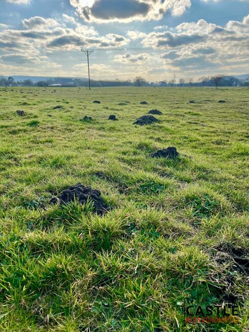 Działka rolna Reda,