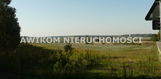 Działka leśna Przewodowice gm. Rawa Mazowiecka