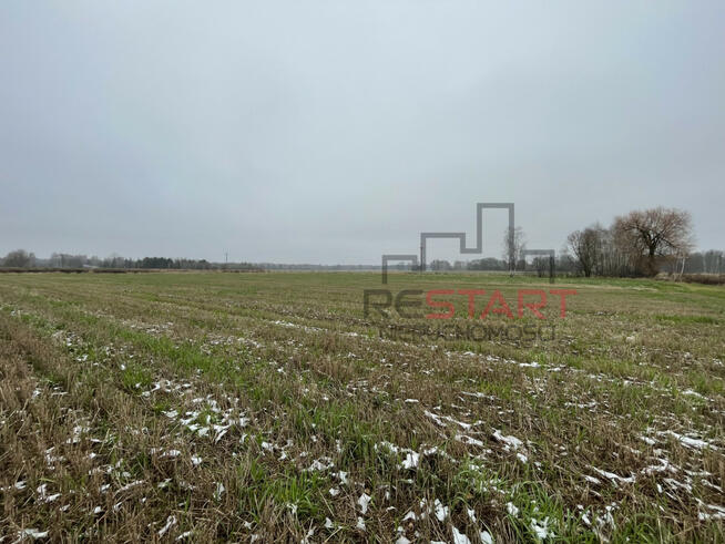 Działka rolna Studzieniec gm. Puszcza Mariańska,