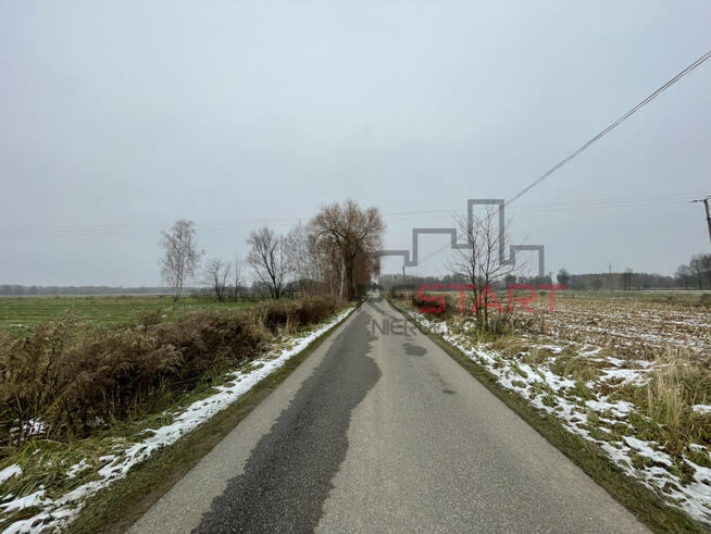 Działka rolna Studzieniec gm. Puszcza Mariańska,