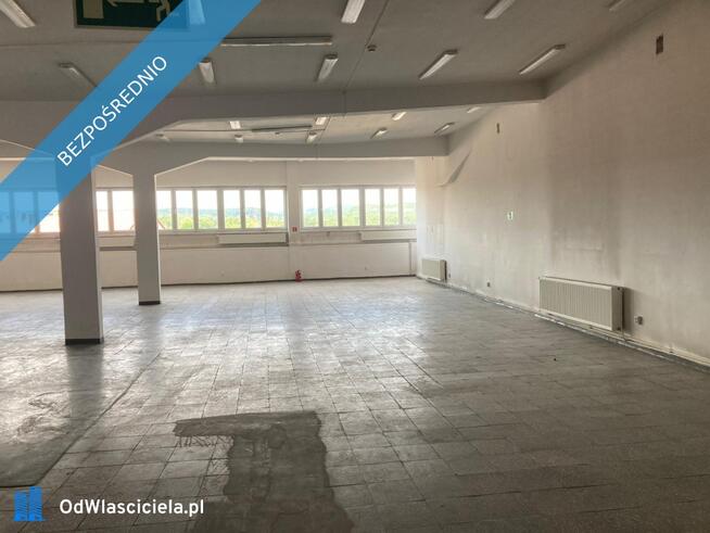 wynajmę lokal użytkowy w centrum Wałbrzycha