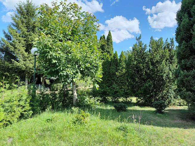 Działka rekreacyjna Łódź gm. Łódź-Górna Górna, Wazów