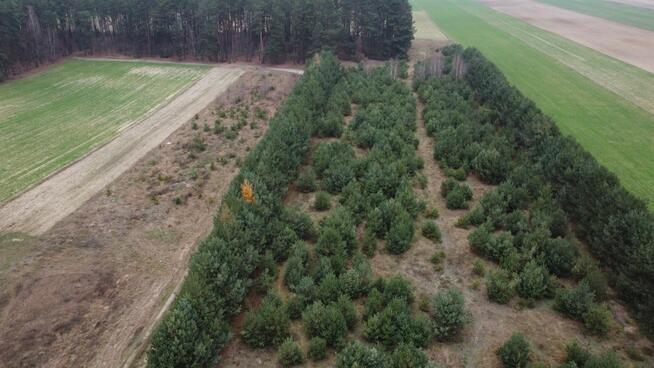 Działka budowlana Przeradowo gm. Szelków,