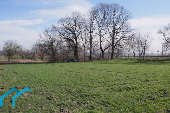 Działka budowlana Wilcza gm. Pilchowice