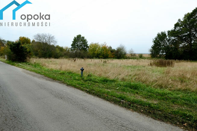 Działka Wilcza gm. Pilchowice