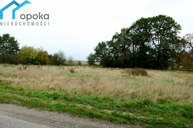 Działka Wilcza gm. Pilchowice