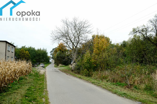 Działka Wilcza gm. Pilchowice