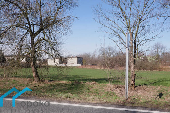 Działka Wilcza gm. Pilchowice