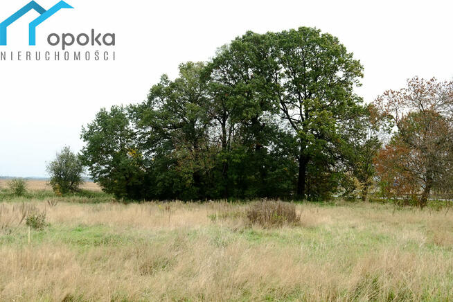 Działka Wilcza gm. Pilchowice