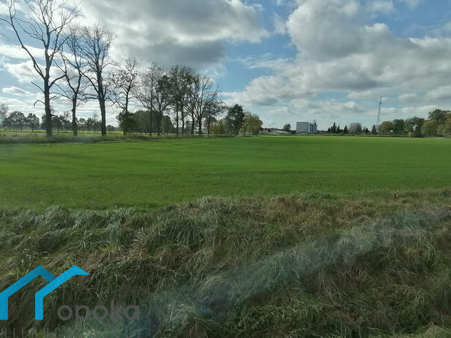 Działka Bąków gm. Strumień